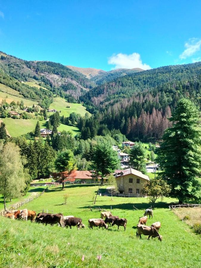 Casa Vacanza Pieve Pisogne Exterior foto